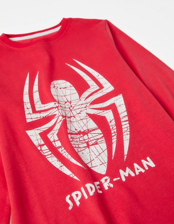 Pack 2 camisetas Spiderman