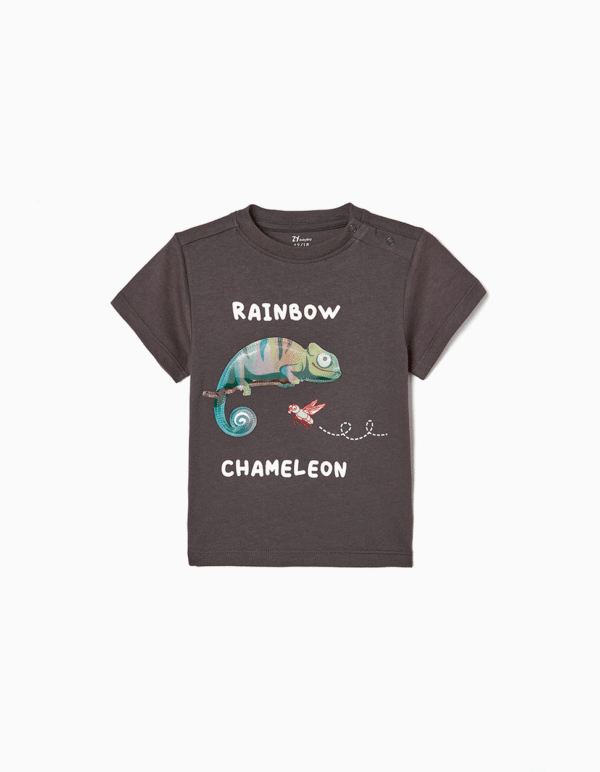 Camiseta camaleón rainbow