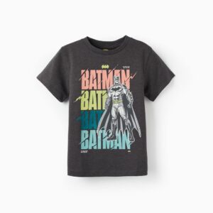 Camiseta Batman gris