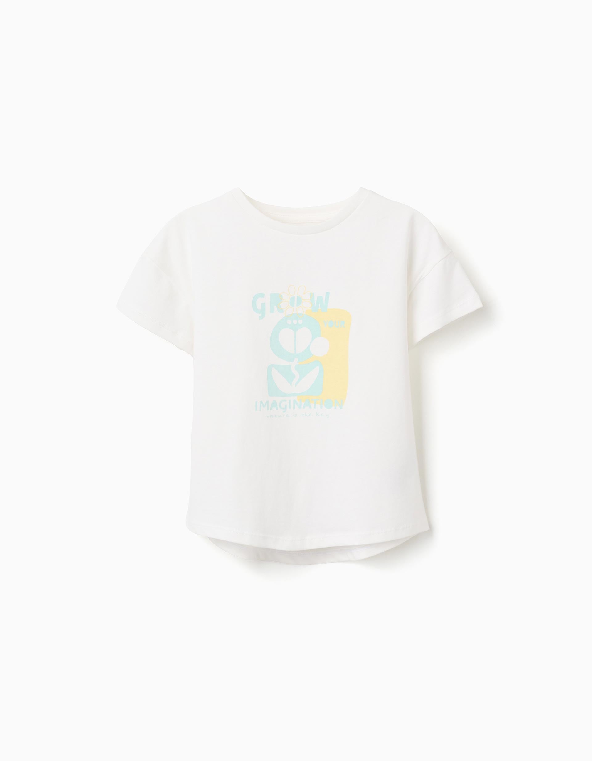 Camiseta imagination